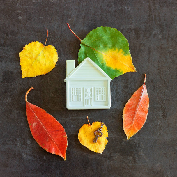  Piccola casa giocattolo tra le foglie colorate d'autunno. Concetto-vendita, acquisto casa, preparazione per l'inverno, accogliente casa e proprietà sicura
. - Foto, immagini