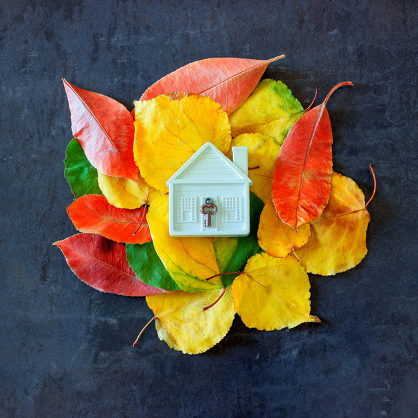  色鮮やかな紅葉の中で小さなおもちゃの家。コンセプト販売購入の家、冬、居心地の良い家庭で安全なプロパティのための準備. - 写真・画像