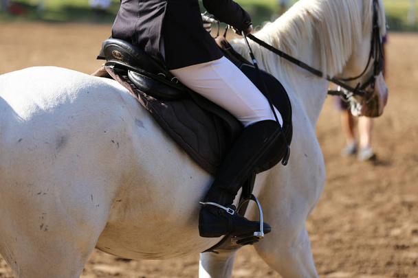 Спортивная лошадь закрывается под старым кожаным седлом на соревнованиях по выездке. Конный спорт
. - Фото, изображение
