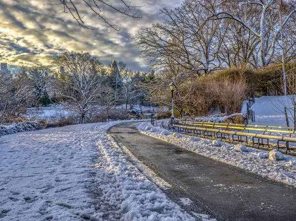 Central Park, New York City na sneeuw stown vroeg in ochtend - Foto, afbeelding