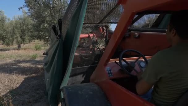 Farmer using shaker machine in olive tree field- South of italy - Filmati, video