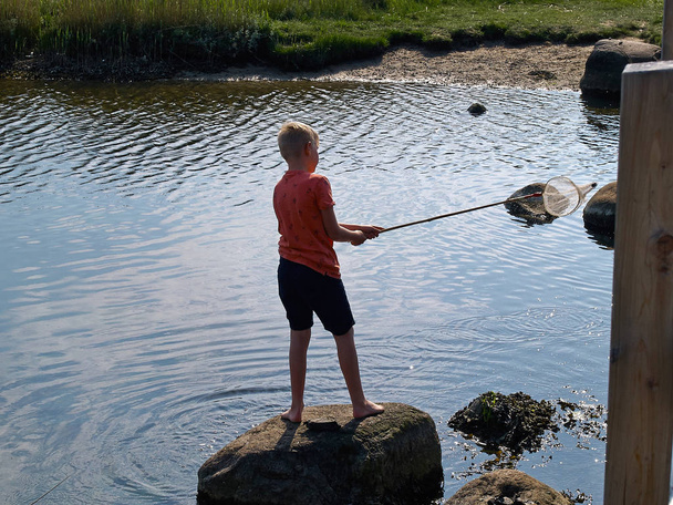 素晴らしい夏の活動 - 水人気を博しているカニや海の生き物によって net スクープを持つ少年 - 写真・画像