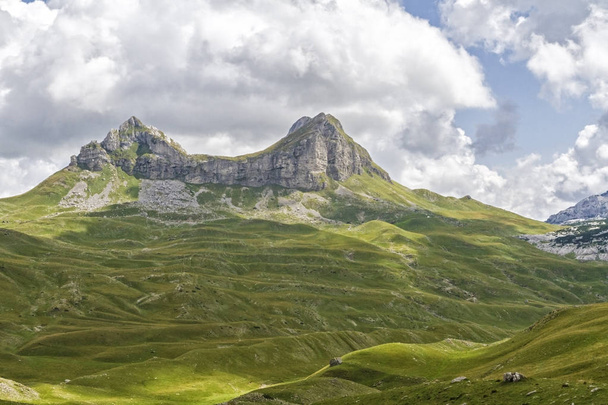 Красивый пейзаж Черногории со свежей травой и красивыми вершинами. Национальный парк Дурмитор в Черногории является частью Динарских Альп. Парк Дурмитор, объект Всемирного наследия ЮНЕСКО с 1980 года, означает "спящий парк"
. - Фото, изображение