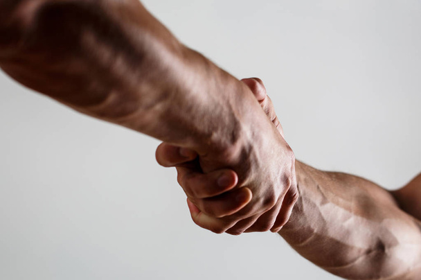 Rescue, helping gesture or hands. Concept of salvation. Two hands, isolated arm, helping hand of a friend. Handshake, arms. Friendly handshake, friends greeting. Teamwork and friendship. Closeu - Photo, Image