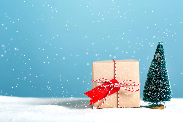 Gift box with miniature Christmas tree - Photo, image