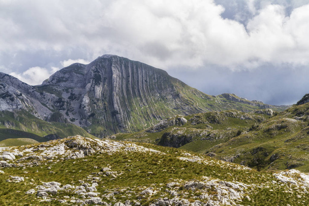 Όμορφο τοπίο στο Μαυροβούνιο με φρέσκο γρασίδι και όμορφες κορυφές. Ντουρμίτορ εθνικό πάρκο στο Μαυροβούνιο μέρος του Δειναρικές Άλπεις. Πάρκο Ντουρμίτορ, μνημείο παγκόσμιας κληρονομιάς της UNESCO από το 1980, σημαίνει στον ύπνο πάρκο. - Φωτογραφία, εικόνα