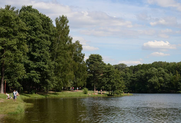  Shibaevsky pond in the natural-historical park "Kuzminki-Lublino" - Fotoğraf, Görsel