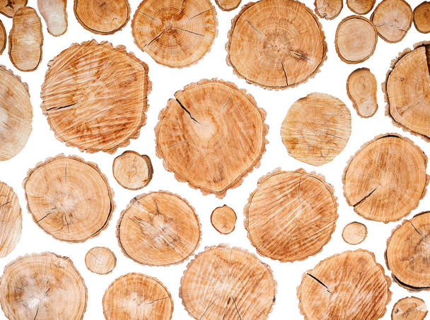 Wood logs set isolated on white background - Foto, Bild