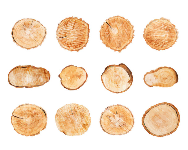 Wood logs set isolated on white background vector - Vector, Image