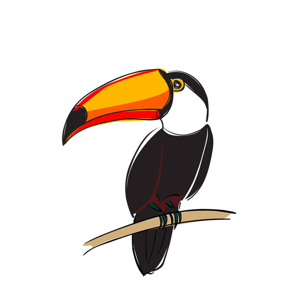 Toucan bird colorful cartoon character. Cute toucan sitting on branch. Flat vector isolated on white. - Вектор, зображення