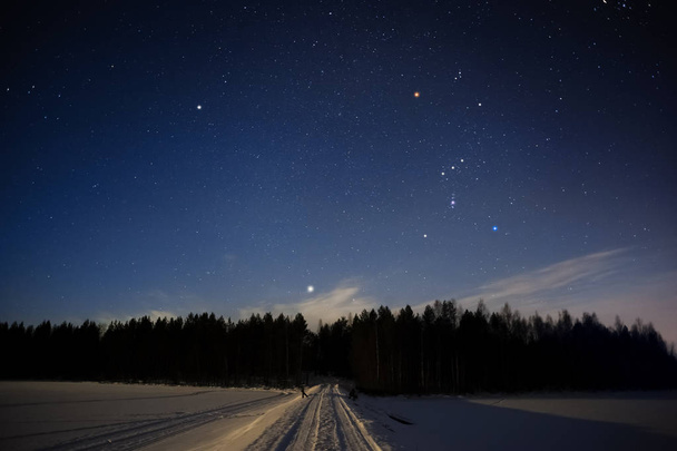 Orion constellation and Sirius above forest in winter sky - Fotoğraf, Görsel