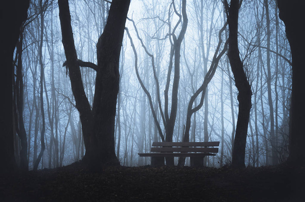 Cold fall landscape with a wooden bench in a forest, with silhouettes of leafless trees and dense fog. Haunted foggy forest. Dark forest with mist. - Photo, Image