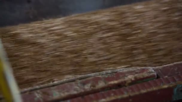 La farine d'avoine se déplace sur un tapis roulant dans la production
 - Séquence, vidéo