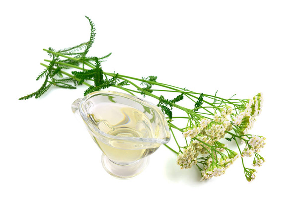 Isolated Yarrow (Achillea Millefolium) Medicinal Flower Plant Essential Extract Oil. - Photo, Image
