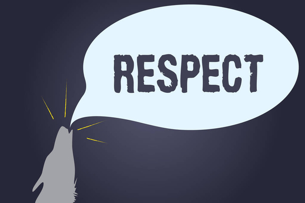 Handgeschreven tekst Respect. Concept, wat betekent dat gevoel van diepe bewondering voor iemand of iets waardering - Foto, afbeelding