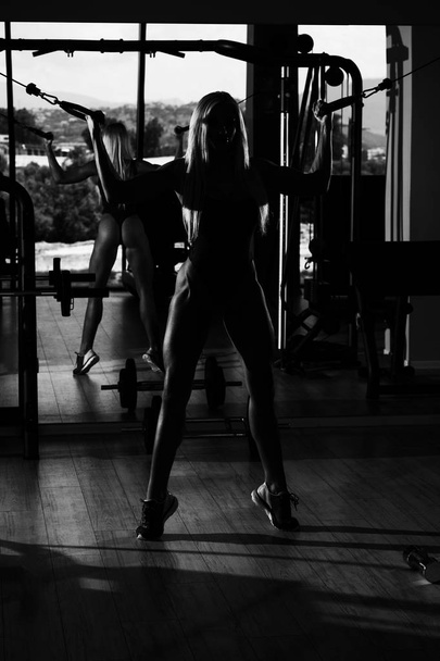 Pazı makinede içinde belgili tanımlık jimnastik salonu tel kablo ile ağır egzersiz yaparak kas Fitness kadın - Fotoğraf, Görsel