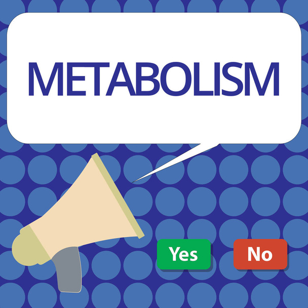 Testo di scrittura di parole Metabolismo. Business concept per i processi chimici nel corpo per la produzione di energia alimentare
 - Foto, immagini