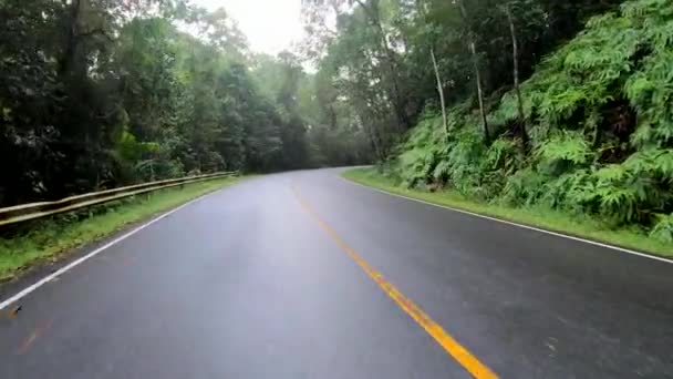 Vezetés autó lassított az erdő - Felvétel, videó