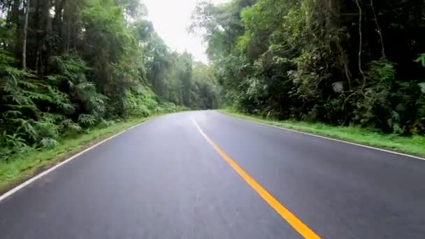 Conducir coche cámara lenta en el bosque
 - Metraje, vídeo