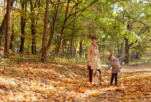 Połowie wieku kobieta z małej dziewczynki i beagle spaceru na świeżym powietrzu w parku jesień.  - Zdjęcie, obraz