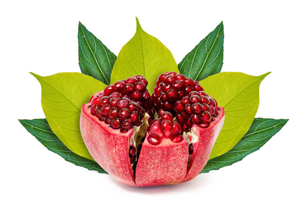 Fresh pomegranate on the background of green leaves. Isolated on white. concept of natural origin. - Photo, Image