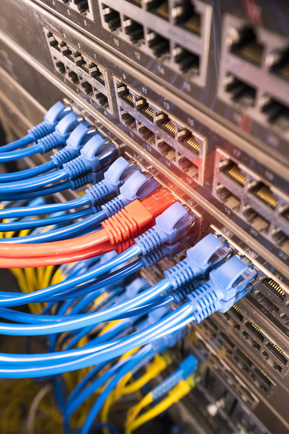 Ethernet-kabel op het netwerk schakelt achtergrond - Foto, afbeelding