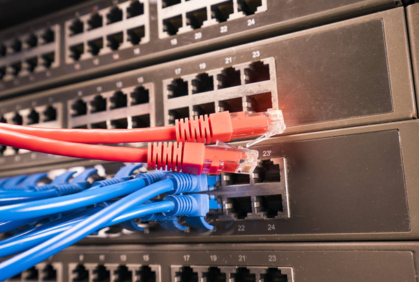 kabel Ethernet w sieci przełącza tło - Zdjęcie, obraz