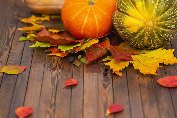 Thanksgiving. Légumes d'automne, baies et feuilles sur une planche de bois. Le concept d'action de grâce
. - Photo, image