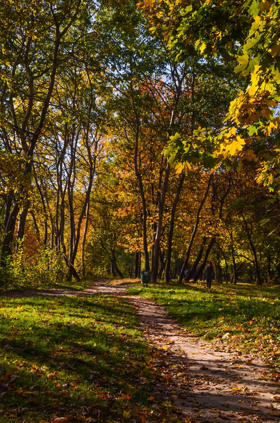 Městský park v slunečný den v podzimní sezóně - Fotografie, Obrázek