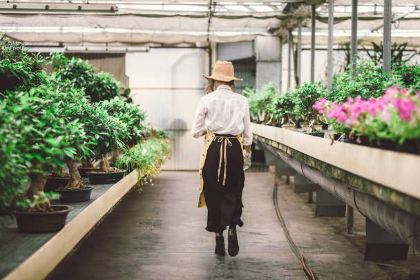 Csinos női Kertész, a virágok és növények shop - ázsiai nő dolgozik az üvegházhatást okozó növények gondozása - Fotó, kép