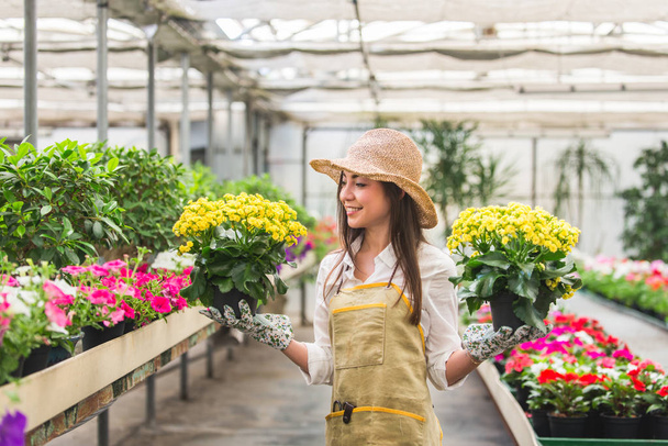 Pretty female gardener taking care of plants in her flowers and plants shop - Asian woman working in a greenhouse - Foto, imagen
