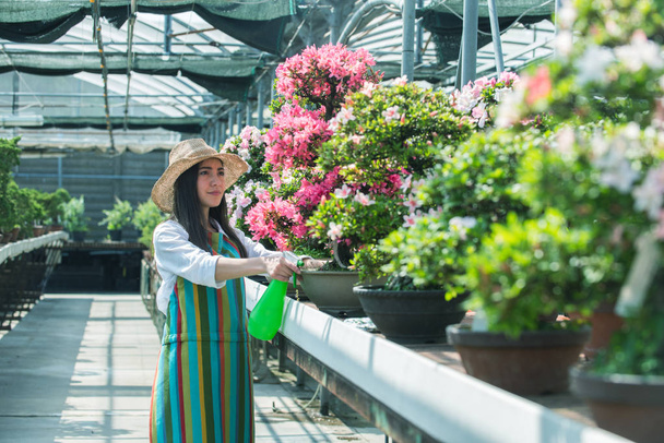 Bardzo kobiece ogrodnik dbanie o rośliny w jej kwiaty i rośliny sklep - Asian kobieta praca w szklarni - Zdjęcie, obraz