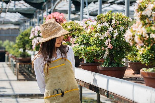 Pretty female gardener taking care of plants in her flowers and plants shop - Asian woman working in a greenhouse - Photo, image
