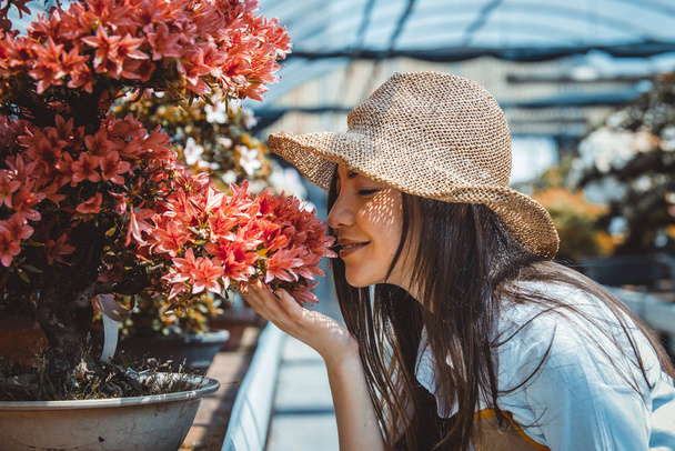 Pretty female gardener taking care of plants in her flowers and plants shop - Asian woman working in a greenhouse - Foto, Bild