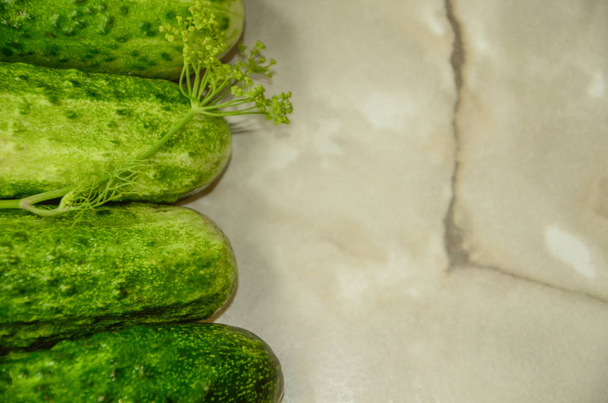 A pile of green cucumbers stacked in a semicircle on the table. Preparation for blockage after the summer. - Foto, afbeelding
