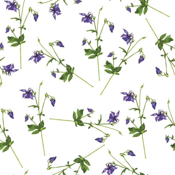 Seamless pattern with lilac flowers on white background. Aquilegia print. Hand drawn watercolor illustration. - Фото, изображение