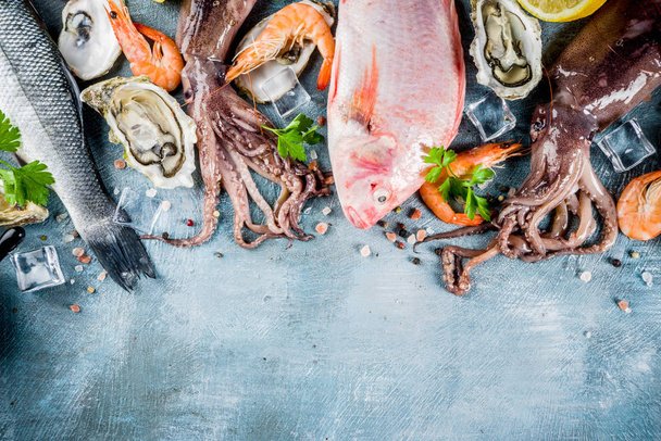 Свіжі сирі морепродукти кальмари креветки устричні мідії риби зі спеціями лимона на світло-блакитному фоні копіювання простору зверху
  - Фото, зображення