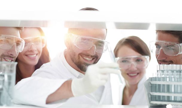 closeup of a doctor-pharmacists and colleagues working in the laboratory. - Photo, Image