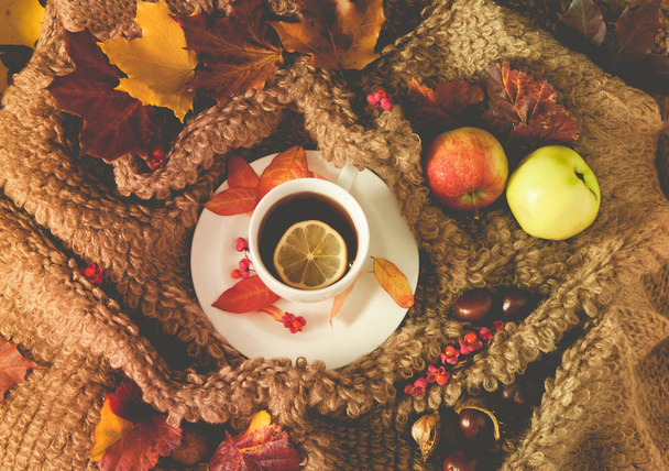 біла чашка з гарячим чаєм, парою, вовняним матеріалом оточує блюдце, барвистим кленовим листям на тканині, двома яблуками та каштанами, осіннім виглядом, на блюдці є червоне листя, лимон, вид зверху
 - Фото, зображення