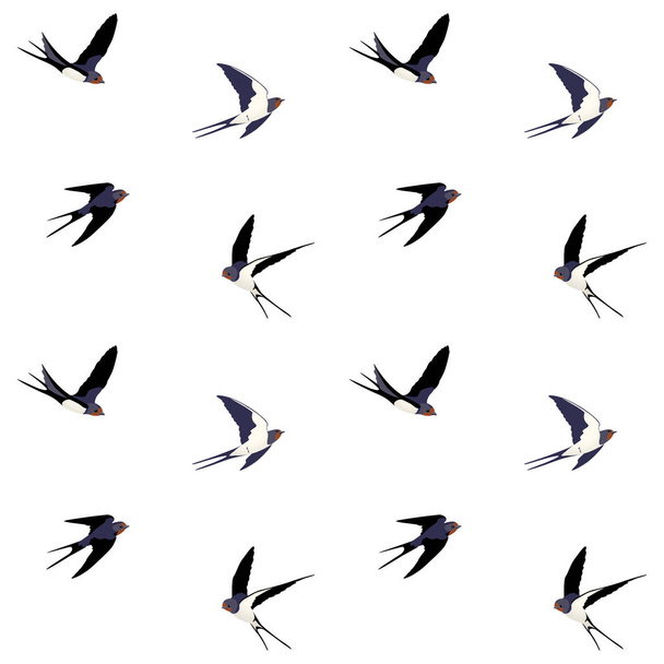 бесшовный рисунок птиц
 - Вектор,изображение