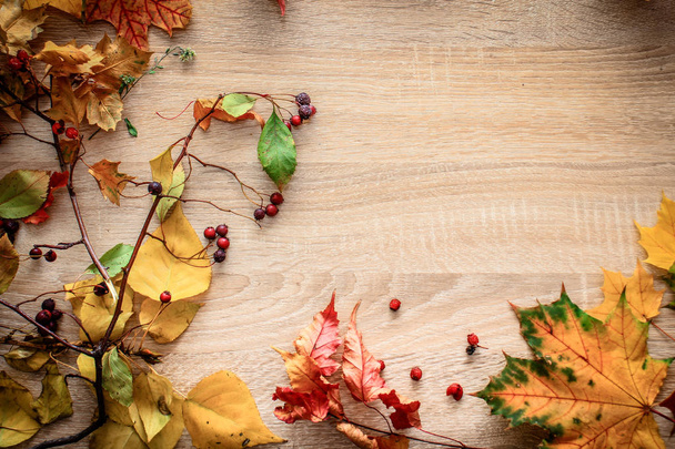 Autumn postcard still life on a bright tabletop - Φωτογραφία, εικόνα