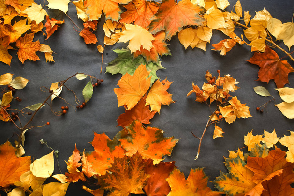 A variety of autumn leaves of twigs and berries laid out on dark paper - Foto, imagen