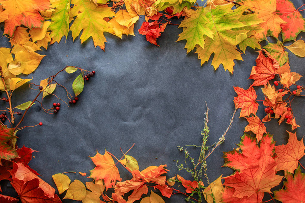 A variety of autumn leaves of twigs and berries laid out on dark paper - Foto, Imagen
