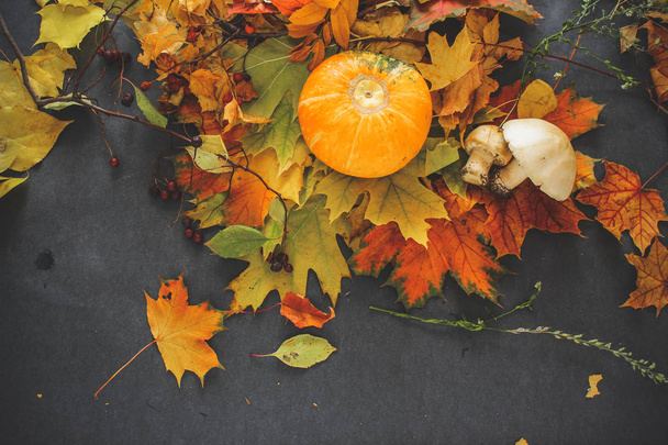 Autumn still life of leaves on the eve of Halloween - Foto, Imagen