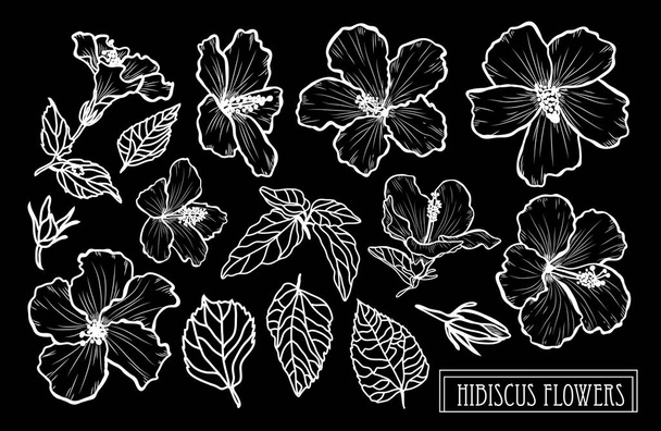 Decorative hibiscus flowers set, design elements. Can be used for cards, invitations, banners, posters, print design. Floral background in line art style - ベクター画像