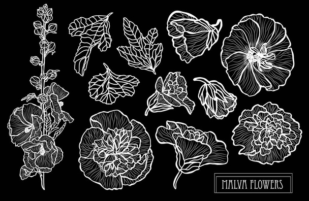 Decorative malva  flowers set, design elements. Can be used for cards, invitations, banners, posters, print design. Floral background in line art style - Vektori, kuva