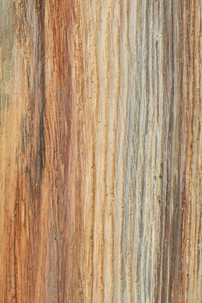 Fondo de madera vintage texturizado
. - Foto, Imagen