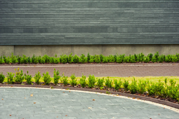 бетонная стена с зеленой травой и забором - Фото, изображение