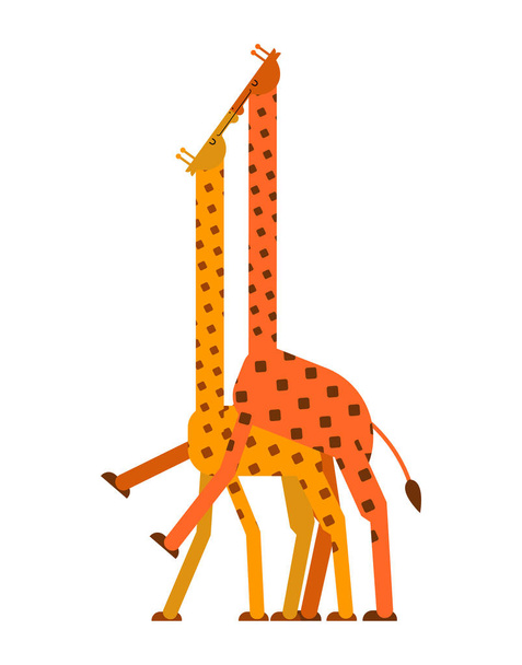 Giraffe sex. Love Giraffes intercourse. Animal reproduction. Africa beast Long neck - Vector, Image