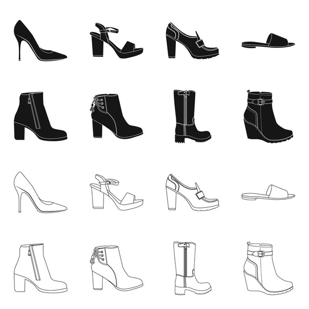 Vector illustration of footwear and woman sign. Set of footwear and foot stock vector illustration. - Vektor, obrázek